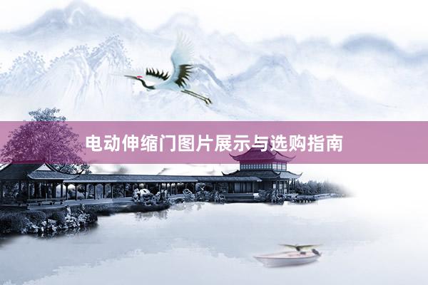 电动伸缩门图片展示与选购指南